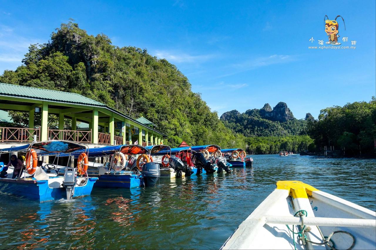 Jelajahi Keajaiban Mangrove Langkawi: Tur yang Menggugah Pikiran dan Mengubah Hidup